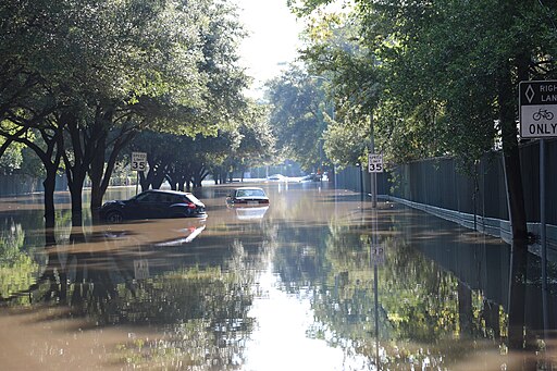 flooded_street.jpg